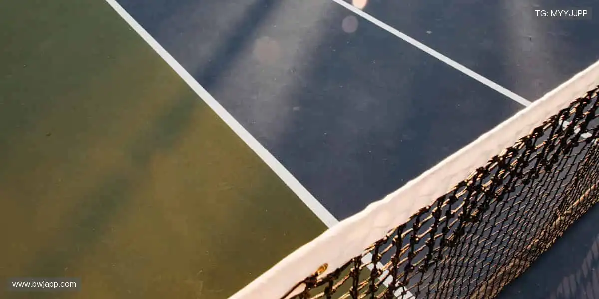 🎮 互动直播,你的主场你做主!